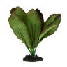 Растение для аквариума шелковое Prime Эхинодорус Розеа 13 см.