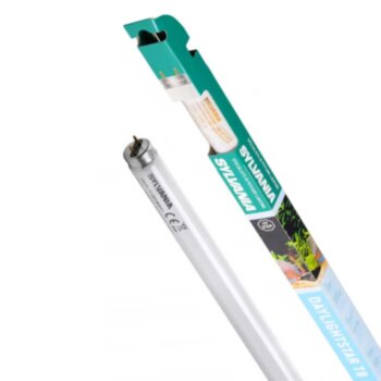 Лампа для окраса рыб в аквариуме Т8 Sylvania Daylighstar 18W 60 см. Лампа для аквариума, подчеркивают естественную окраску рыб и растений
