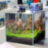 Светильник LED Sunsun AD-150 - 