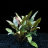 Криптокорина Бекета (Горшок) Cryptocoryne becketii - 