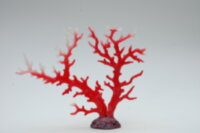 Коралл Vitality красно-белый 34х7х26см (SH9106SRW)