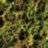 Мох натуральный спрессованный Exo Terra Forest Moss 2x7л - 