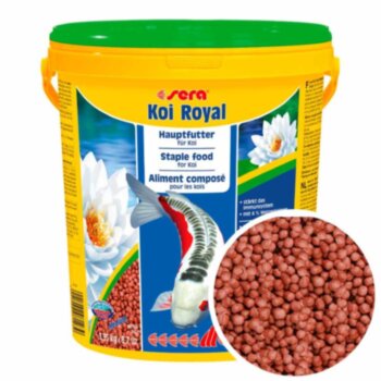 Основной корм для карпов Кои Sera Koi Royal ST medium 21л/3,95кг. Основной корм для карпов Кои от 12 до 25 см, для сбалансированного роста