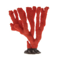 Коралл Vitality красный 25х8х24см (SH064R)