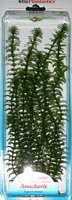 Растение пластиковое Tetra Элодея (Anacharis) 30см