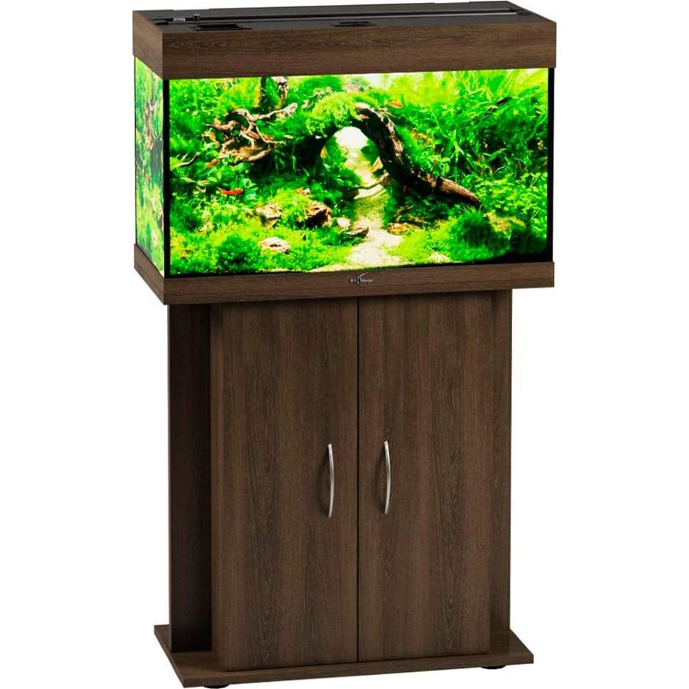 Аквариум биодизайн риф 240. Аквариум биодизайн 125 литров. Аквариум биодизайн риф 200. Биодизайн риф 300. Аквариум биодизайн риф 110.