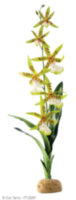 Растение Exo-Terra Орхидея