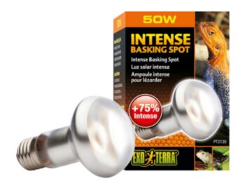 Лампа INTENSE BASKING SPOT 50Вт Exo Terra ​На 35% больше света и тепла в излучении. Предназначена для создания зон нагрева рептилий 