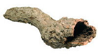 Кора пробкового дерева труба Аквалого разных размеров