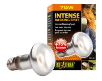 Лампа INTENSE BASKING SPOT 75Вт Exo Terra ​На 35% больше света и тепла в излучении. Предназначена для создания зон нагрева рептилий 