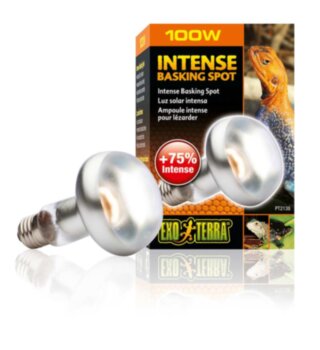 Лампа INTENSE BASKING SPOT 100Вт Exo Terra ​На 35% больше света и тепла в излучении. Предназначена для создания зон нагрева рептилий 