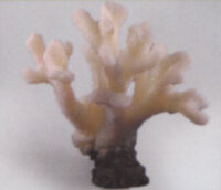 Коралл Vitality белый 23x14x24см (SH055W)