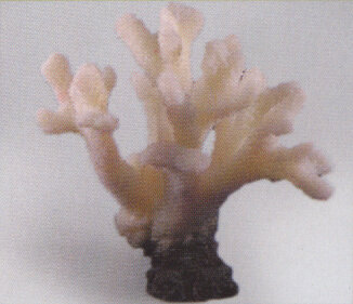 Коралл Vitality белый 23x14x24см (SH055W)