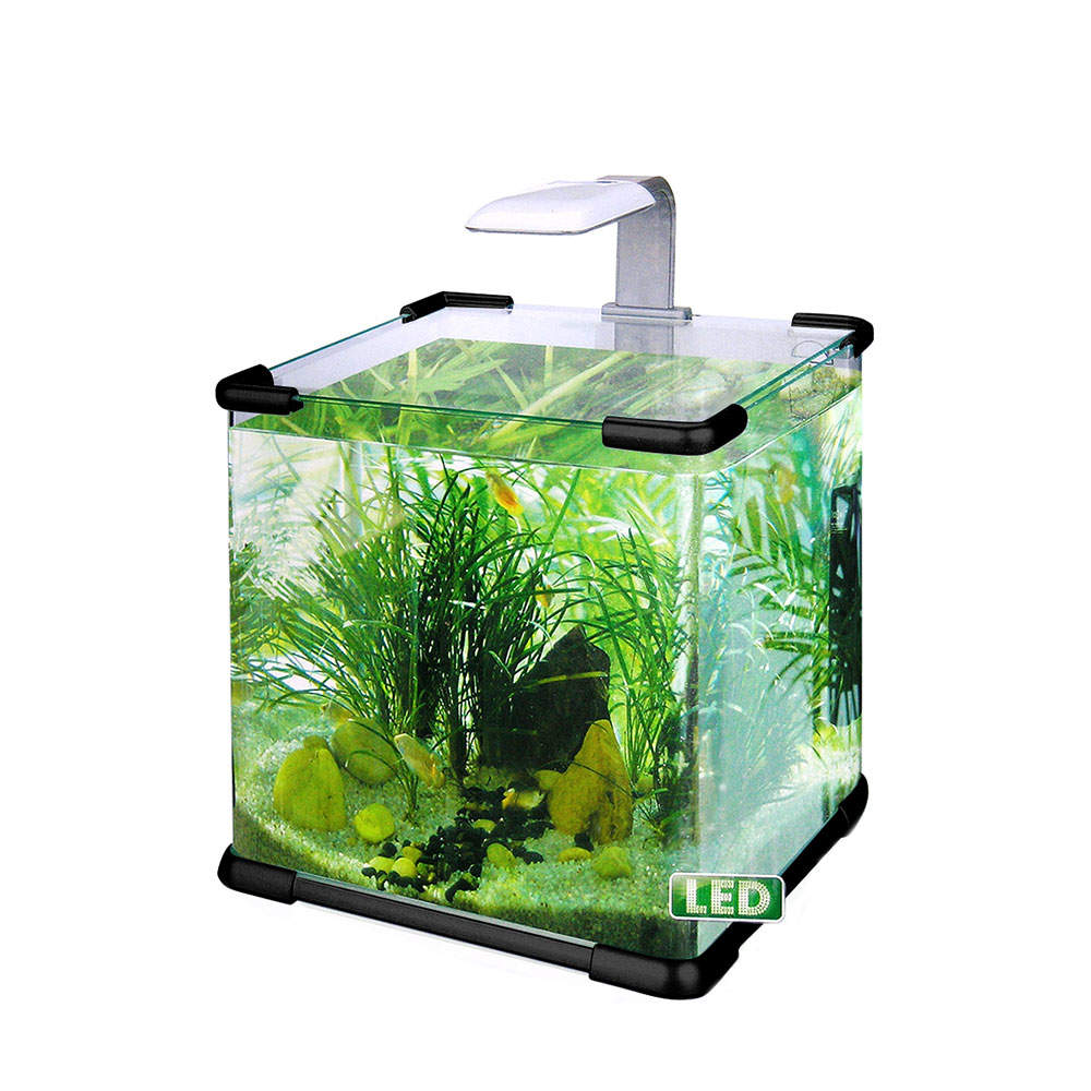 Аквариумистика - аквариум 10 л