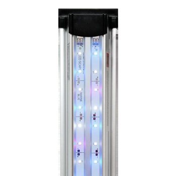 Светильник для аквариумов Биодизайн LED Scape Marine Blue (60 см.) Светильник для освещения морских аквариумов и их имитаций с пресной водой, передаёт естественную окраску содержащихся животных и кораллов. Идеальное решение для освещения морских биотопных аквариумов и хардскейпа.