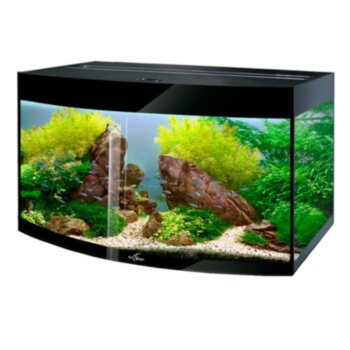 Аквариум Биодизайн Crystal Panoramic 145 (144 литров,) Черный суперглянец Панорамный аквариум без тумбы с светильником, без оборудования и аксессуаров. Аквариум от производителя Биодизайн из серии Super Premium Line, модель Crystal Panoramic 145.
