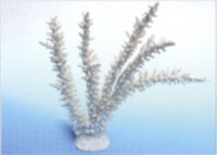 Коралл Vitality белый 34х7х28.5см (SH017W)