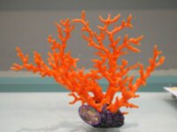 Коралл Vitality оранжевый 35х15х28см (SH9106MOR)