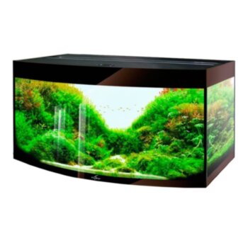 Аквариум Биодизайн Crystal Panoramic 210 (212 литров,) Шоколад суперглянец Панорамный аквариум без тумбы с светильником, без оборудования и аксессуаров. Аквариум от производителя Биодизайн из серии Super Premium Line, модель Crystal Panoramic 210.