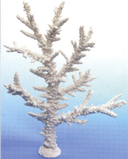 Коралл Vitality белый 43х20х56,5см (SH9081W)
