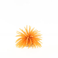 Коралл Vitality оранжевый, 4.5х4.5х4см (RT172SOR)