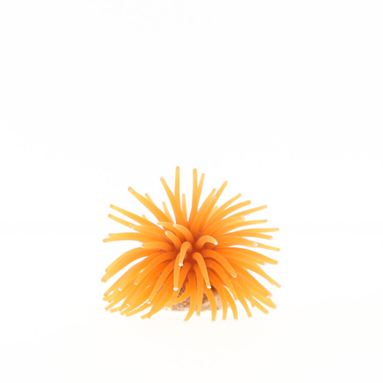 Коралл Vitality оранжевый, 4.5х4.5х4см (RT172SOR)