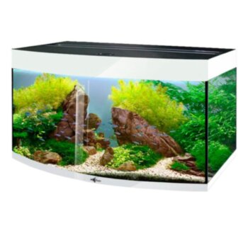 Аквариум Биодизайн Crystal Panoramic 145 (144 литров) Белый суперглянец (без светильника) Премиальный аквариум, прямоугольной формы Биодизайн Crystal Panoramic 144 литров. Цвет суперглянец. Аквариум из серии Биодизайн Super Premium Line.