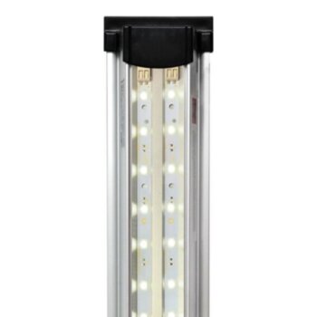Светильник для аквариумов Биодизайн LED Scape Sun Light (150 см.) Универсальная модель. Создаёт эффект яркого тропического солнечного освещения и обладает хорошей цветопередачей. Данный тип светильника отлично подойдёт для начинающих аквариумистов.