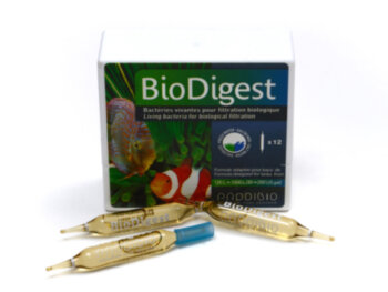 Кондиционер Prodibio Bio Digest 12 шт. Гипер-концентрированный бактериальный препарат для пресных и морских аквариумов.