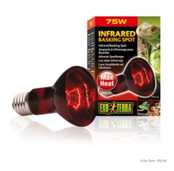 Лампа INFRARED BASKING SPOT 75Вт Exo Terra Повышает общую температуру воздуха в террариуме, создает инфракрасное излучение.