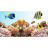 Морская лампа для аквариума T5 Juwel High-Lite Marine 24W (45 см.) - 
