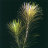Погостемон звёздчатый (Горшок) Pogostemon stellatus Narrow Leaf - 