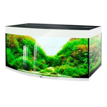 Аквариум Биодизайн Crystal Panoramic 210 (212 литров) Белый суперглянец (без светильника) Премиальный аквариум, прямоугольной формы Биодизайн Crystal Panoramic 212 литров. Цвет суперглянец. Аквариум из серии Биодизайн Super Premium Line.