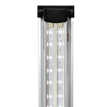 Светильник для аквариумов Биодизайн LED Scape Day Light (70 см.) Светильник для аквариумов с растениями и животными. Обладает классической для любителей водных растений температурой цвета и превосходными характеристиками цветопередачи.