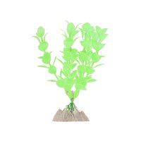 Растение Glofish флуоресцентное зеленое 13 см.