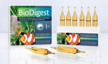 Кондиционер Prodibio Bio Digest 6 шт. Гипер-концентрированный бактериальный препарат для пресных и морских аквариумов.
