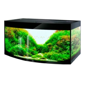 Аквариум Биодизайн Crystal Panoramic 210 (212 литров) Черный суперглянец (без светильника) Премиальный аквариум, прямоугольной формы Биодизайн Crystal Panoramic 212 литров. Цвет суперглянец. Аквариум из серии Биодизайн Super Premium Line.