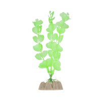 Растение Glofish флуоресцентное зеленое 15,24 см.