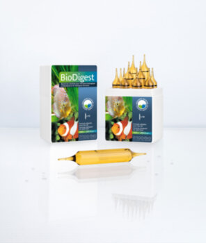 Кондиционер Prodibio Bio Digest Pro10 10 шт. Гипер-концентрированный бактериальный препарат для пресных и морских аквариумов.