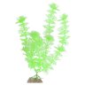 Растение Glofish флуоресцентное зеленое 20,32 см.