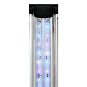 Светильник для аквариумов Биодизайн LED Scape Marine Blue (150 см.) Светильник для освещения морских аквариумов и их имитаций с пресной водой, передаёт естественную окраску содержащихся животных и кораллов. Идеальное решение для освещения морских биотопных аквариумов и хардскейпа.