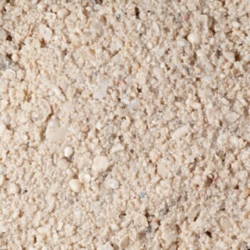 Песок живой арагонитовый CaribSea Ocean Direct Original Grade 0,25-6,5 мм. 18,14 кг. Карибский живой песок с мелкими песчинками, имеющими гладкую яйцевидную форму, тогда как более крупные частицы представляют собой кусочки и камни настоящего рифа.