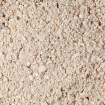 Песок живой арагонитовый CaribSea Ocean Direct Original Grade 0,25-6,5 мм. 2,27 кг. Карибский живой песок с мелкими песчинками, имеющими гладкую яйцевидную форму, тогда как более крупные частицы представляют собой кусочки и камни настоящего рифа.