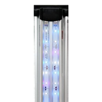 Светильник для аквариумов Биодизайн LED Scape Marine Blue (55 см.) Светильник для освещения морских аквариумов и их имитаций с пресной водой, передаёт естественную окраску содержащихся животных и кораллов. Идеальное решение для освещения морских биотопных аквариумов и хардскейпа.