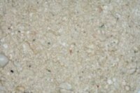 Песок живой арагонитовый CaribSea Ocean Direct Original Grade 0,25-6,5 мм. 9 кг.