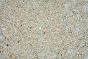Песок живой арагонитовый CaribSea Ocean Direct Original Grade 0,25-6,5 мм. 9 кг. Карибский живой песок с мелкими песчинками, имеющими гладкую яйцевидную форму, тогда как более крупные частицы представляют собой кусочки и камни настоящего рифа.