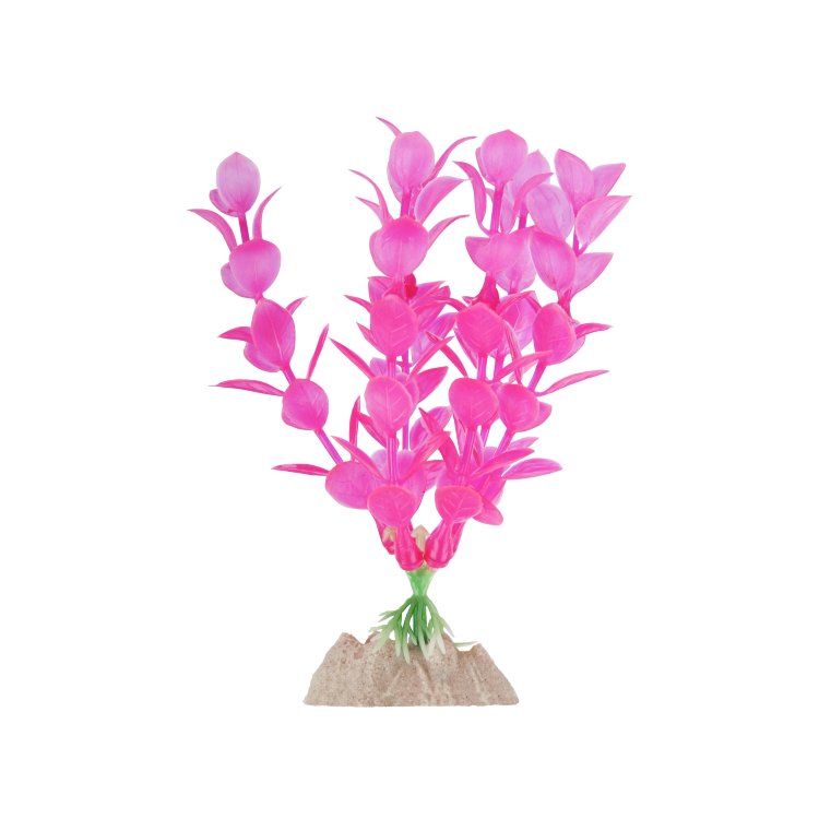 Растение Glofish флуоресцентное розовое 15,24 см.